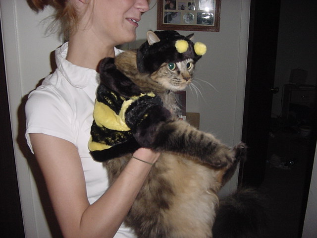 DSC00007.JPG