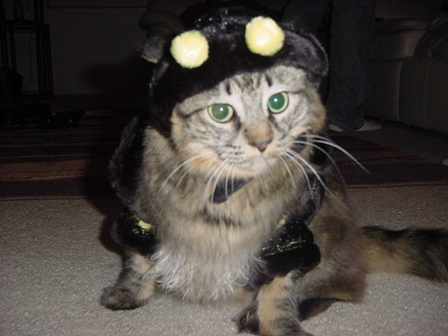 DSC00025.JPG