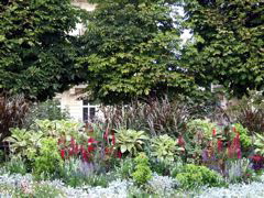 French Flowers